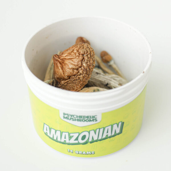 Amazonian Dried Mushrooms