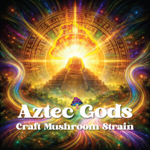 Aztec Gods Dried Mushrooms