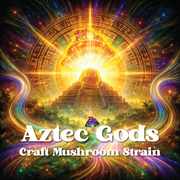 Aztec Gods Dried Mushrooms Aztec Gods Dried Mushrooms