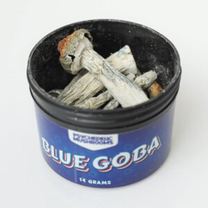 Blue Goba Dried Mushrooms