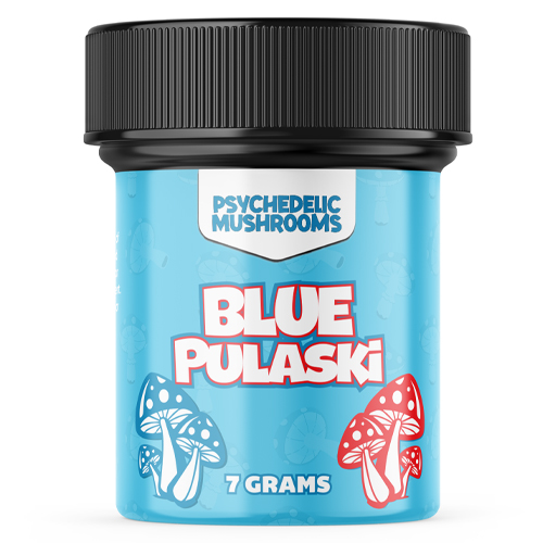 Blue Pulaski 1 Blue Pulaski Dried Mushrooms