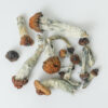 Blue Pulaski Dried Mushrooms Blue Pulaski Dried Mushrooms