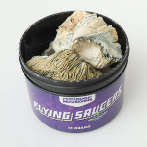 Flying Saucer Dried Mushrooms