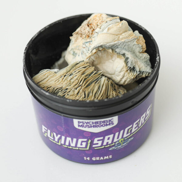 Flying Saucer Dried Mushrooms Flying Saucer Dried Mushrooms