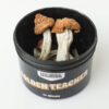 Golden Teacher Dried Mushrooms
