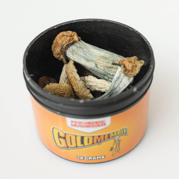 Goldmember Shrooms Goldmember Shrooms