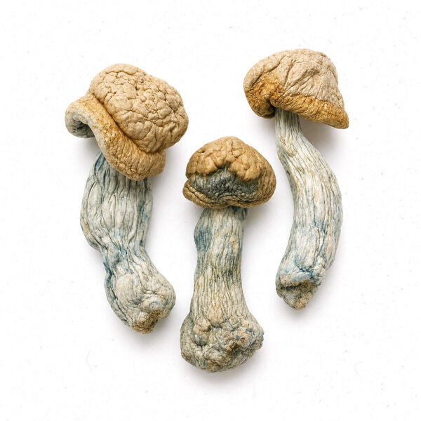 Hillbilly Dried Mushrooms Hillbilly Dried Mushrooms