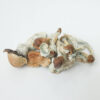 Jedi Mind Fuck Dried Mushrooms