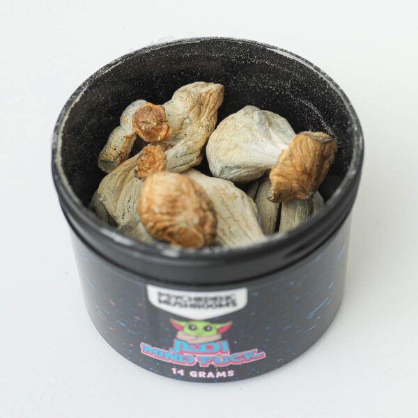Jedi Mind Fuck Dried Mushrooms