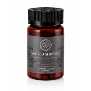Microdose Capsules (125mg) 20 Capsules – Sacred Shroom