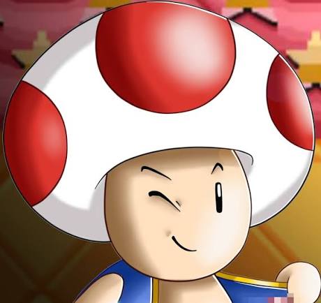 Toad Shrooms