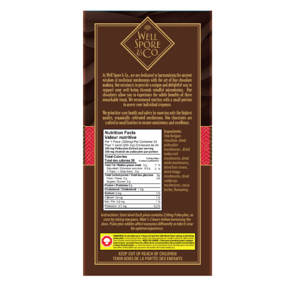 Well Spore & Co Dark Chocolate Raspberry Mushroom Bar – 6000mg