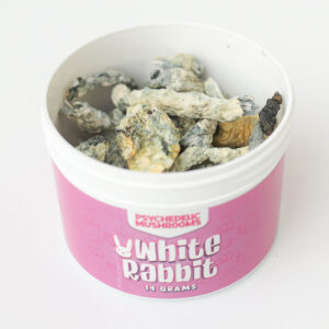 White Rabbit Dried Mushrooms
