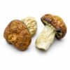 African Transkei Dried Mushrooms African Transkei Dried Mushrooms