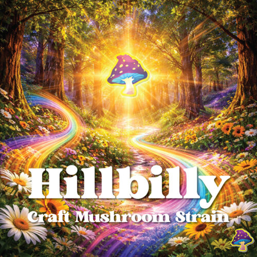 Craft Mushroom Strains