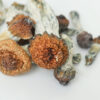 promo-pack-shrooms-cottage Cottage Magic Promo Pack