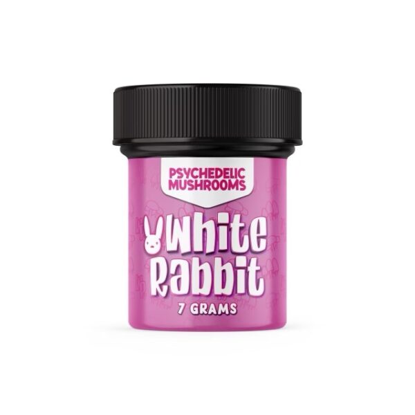 white-rabbit-dried-shrooms-strain White Rabbit Dried Mushrooms